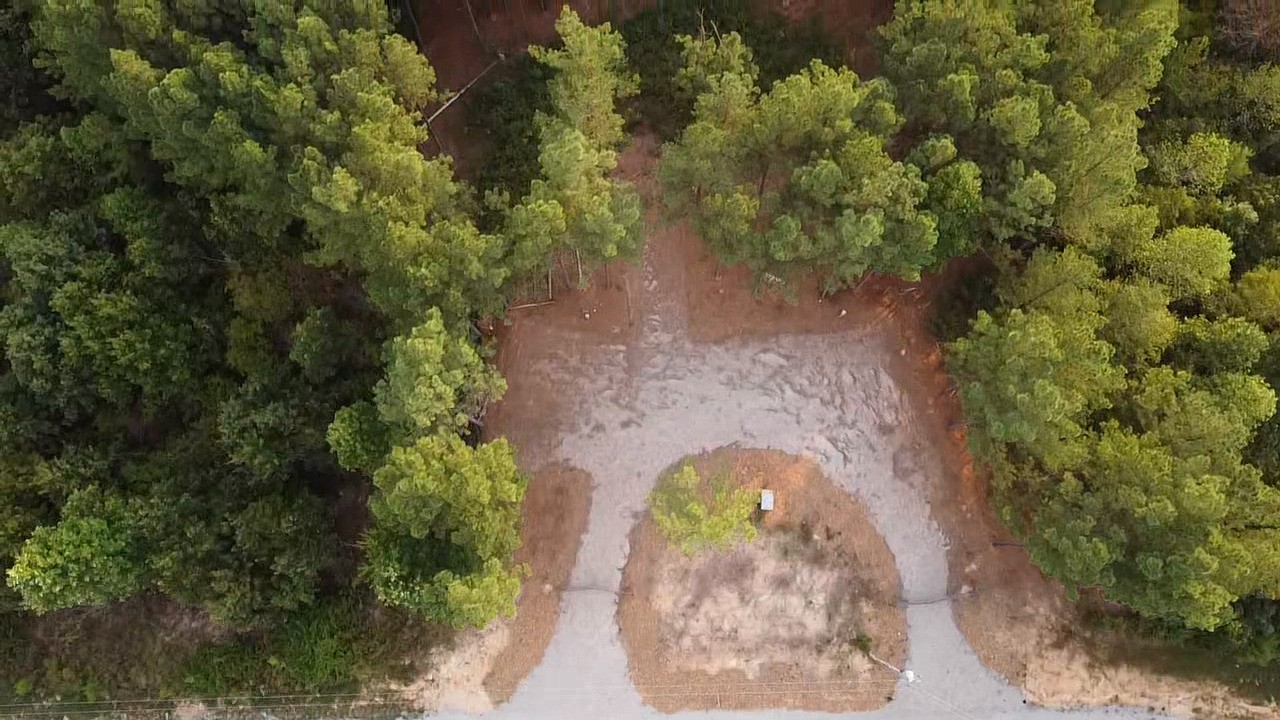 301 Ridgewood Drive Linden, TN 37096 - Photo 25 of 29 a view of a bird bath