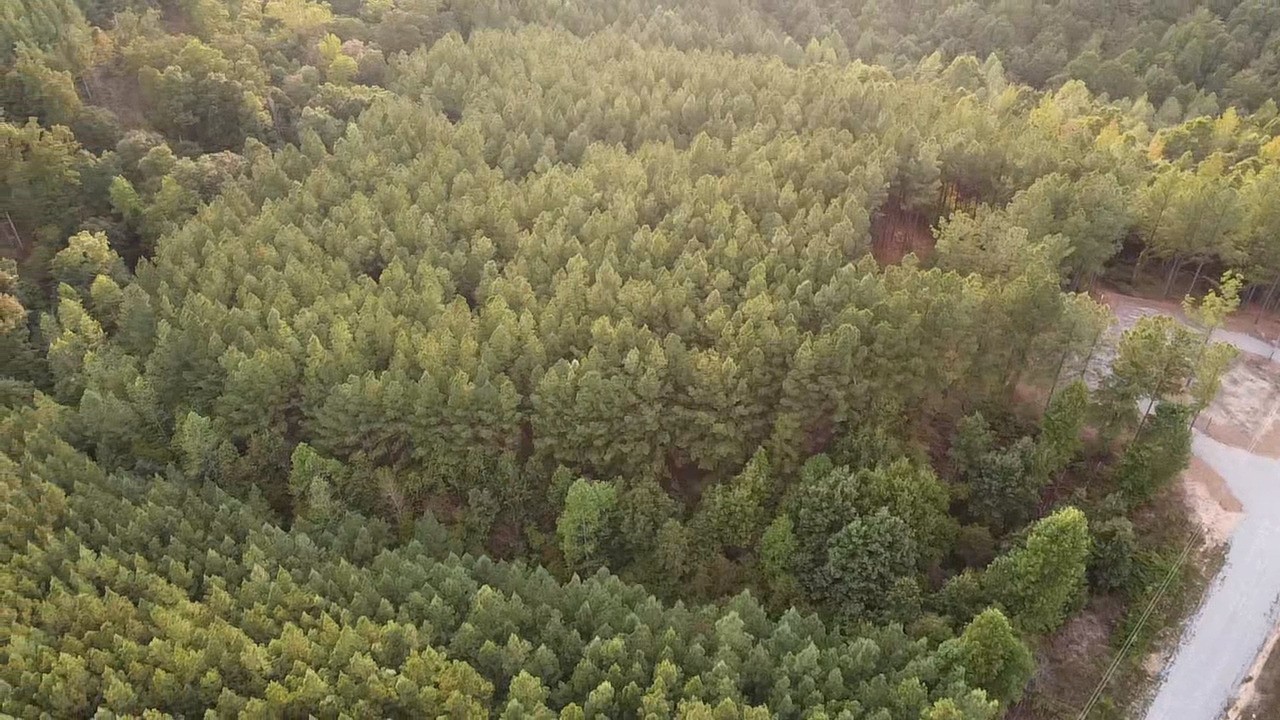 301 Ridgewood Drive Linden, TN 37096 - Photo 26 of 29 a view of a covered with wooden fence