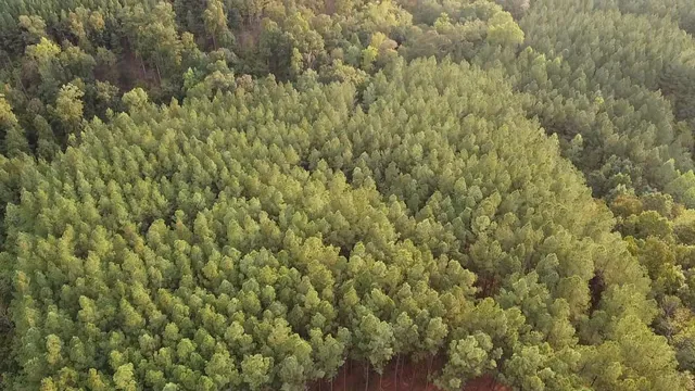 $157,000 | 301 Ridgewood Drive, Linden, TN 37096