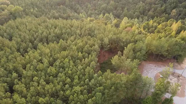 $157,000 | 301 Ridgewood Drive, Linden, TN 37096