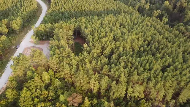 $157,000 | 301 Ridgewood Drive, Linden, TN 37096