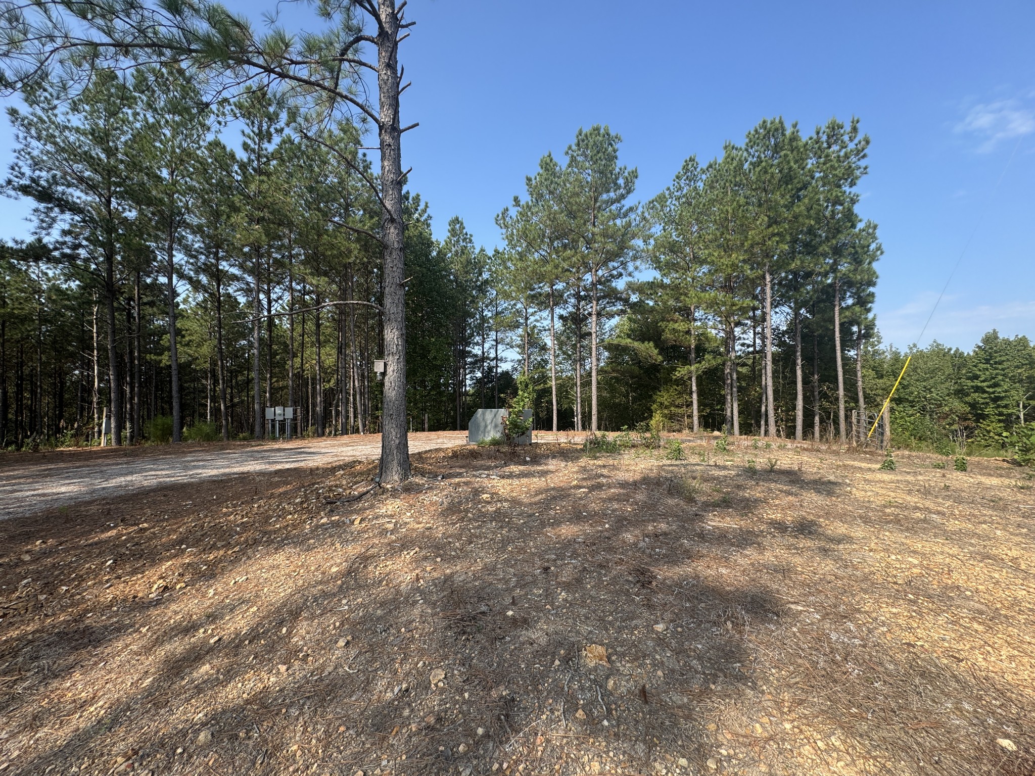 301 Ridgewood Drive Linden, TN 37096 - Photo 3 of 29 a view of outdoor space with trees