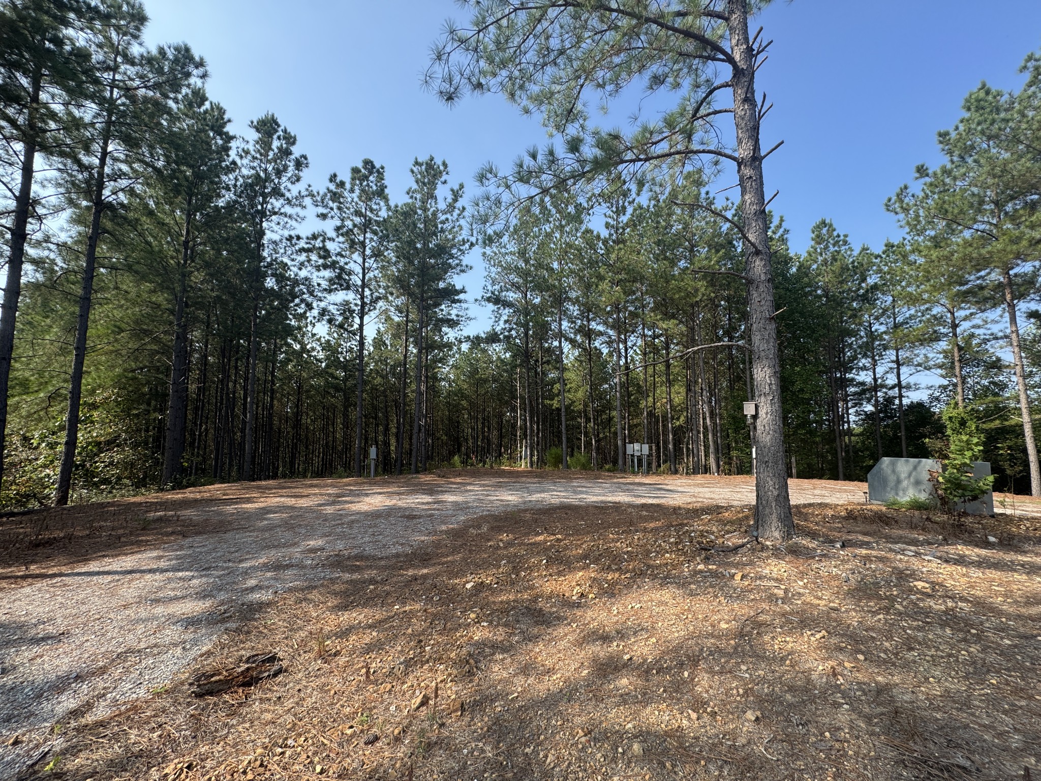 301 Ridgewood Drive Linden, TN 37096 - Photo 4 of 29 a fire hydrant in the middle of a field