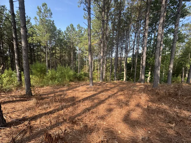 a view of outdoor space with trees