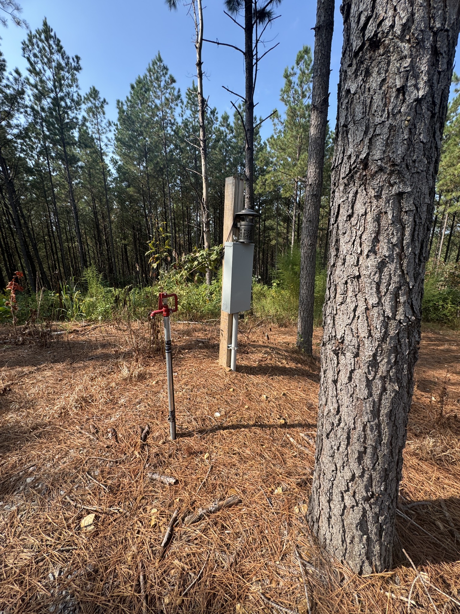 301 Ridgewood Drive Linden, TN 37096 - Photo 9 of 29 a backyard of a house with lots of green space