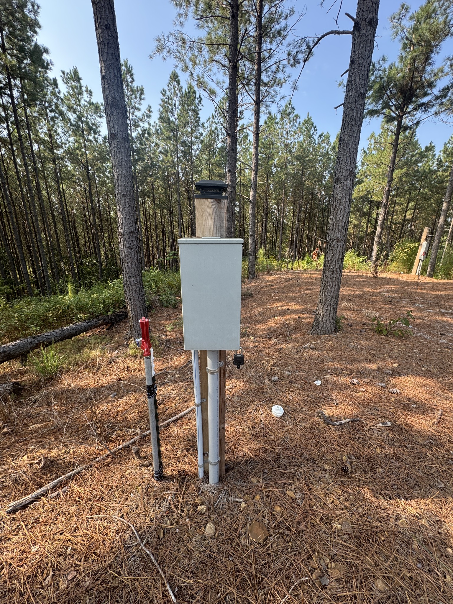 301 Ridgewood Drive Linden, TN 37096 - Photo 10 of 29 a view of a trees