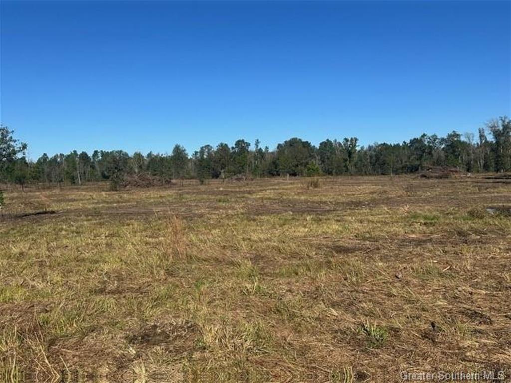 0 Conway Rosteet Road Longville, LA 70652 - Photo 12 of 19