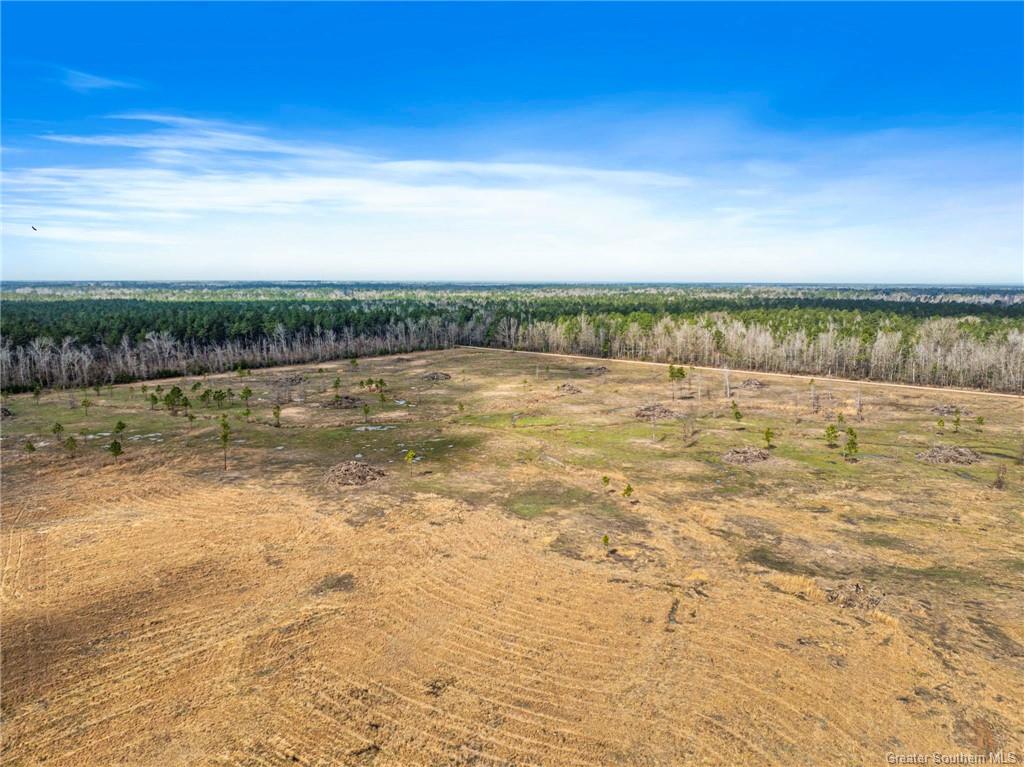 0 Conway Rosteet Road Longville, LA 70652 - Photo 19 of 19