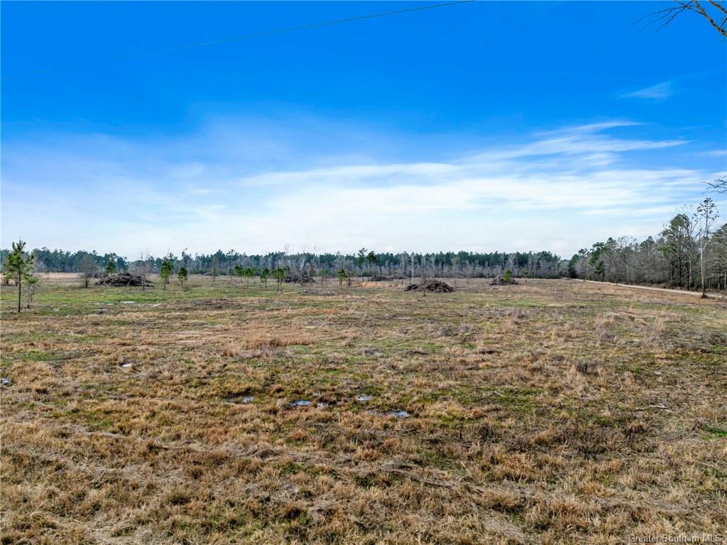 0 Conway Rosteet Road Longville, LA 70652 - Photo 2 of 19