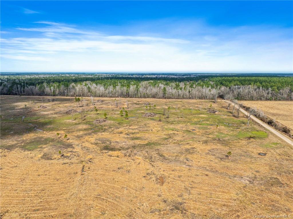 0 Conway Rosteet Road Longville, LA 70652 - Photo 5 of 19