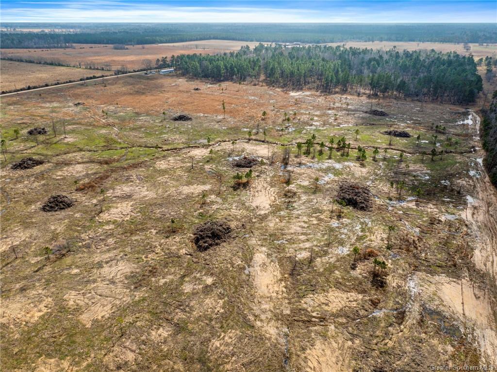 0 Conway Rosteet Road Longville, LA 70652 - Photo 6 of 19