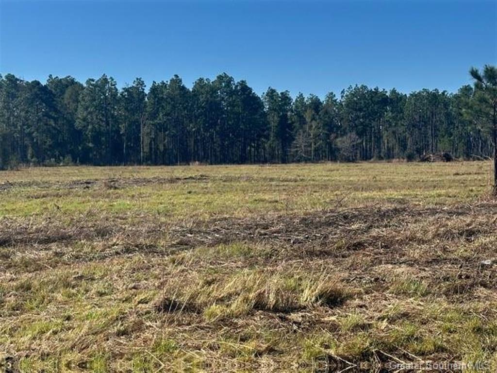 0 Conway Rosteet Road Longville, LA 70652 - Photo 10 of 19