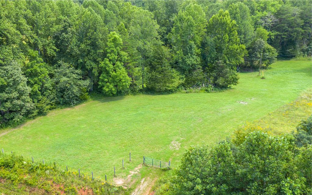 Crumptown Road Farmville, VA 23901 - Photo 7 of 32 Gallery Image 7
