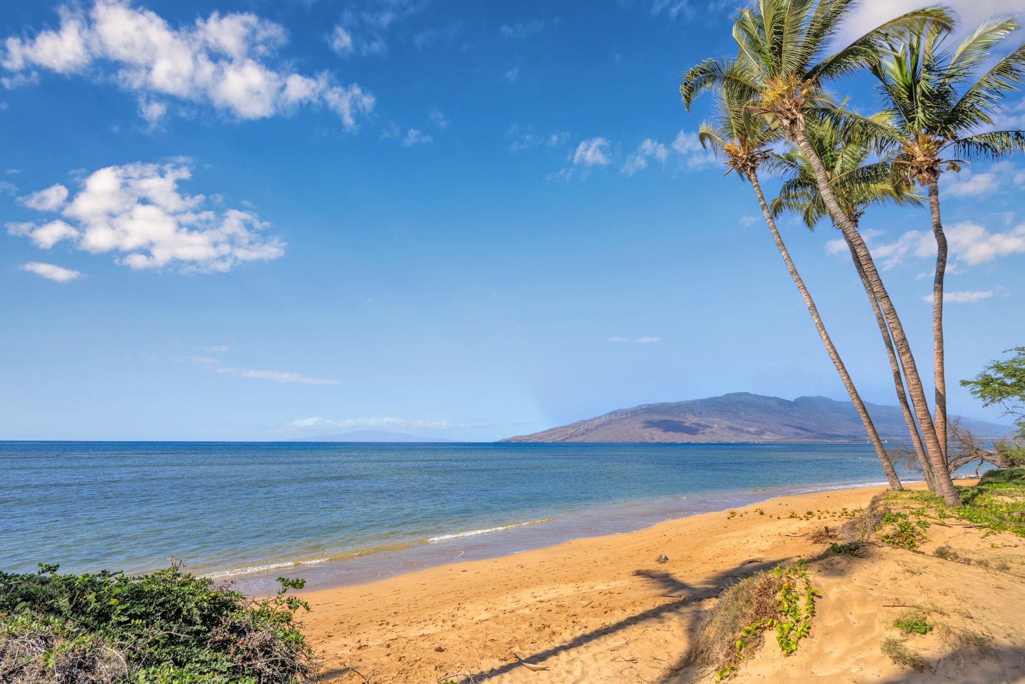 1450 South Kihei Road, Unit C206 Kihei, HI 96753 - Photo 40 of 50 a view of a lake with a mountain in the background