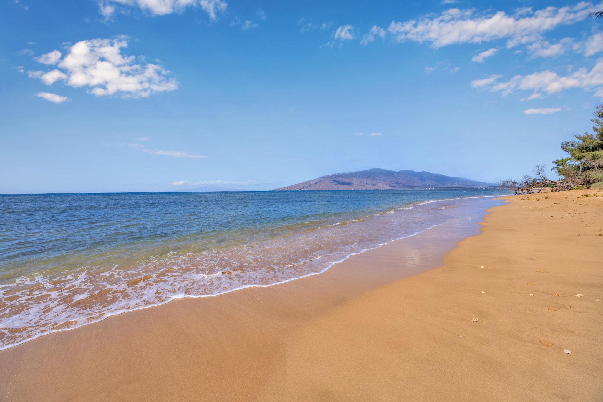 1450 South Kihei Road, Unit C206 Kihei, HI 96753 - Photo 42 of 50 a view of a room with a ocean beach