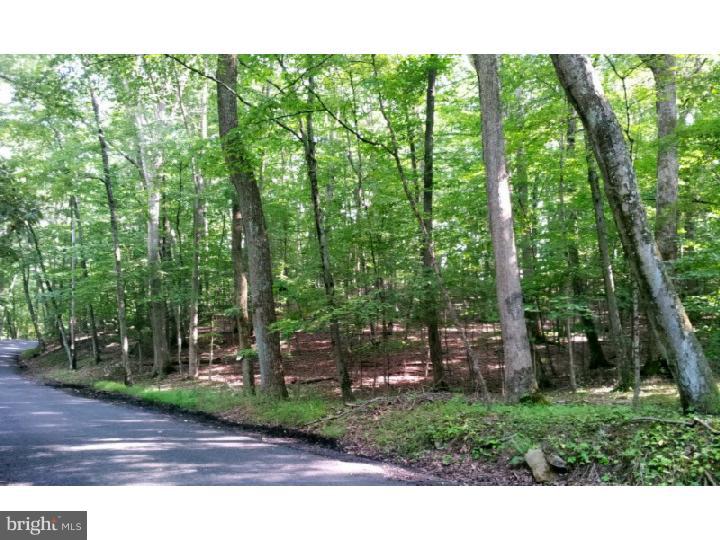 Lot 10 Fleecydale Road Carversville, PA 18913 - Photo 1 of 12 Gallery Image 1