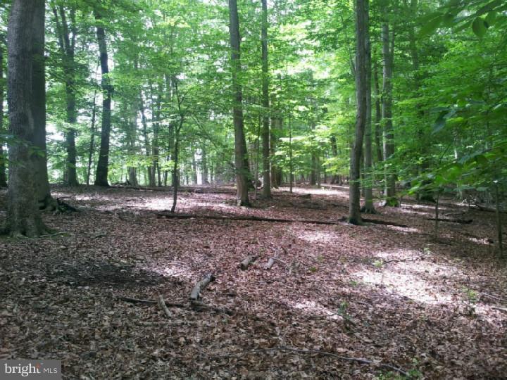 Lot 10 Fleecydale Road Carversville, PA 18913 - Photo 3 of 12 Gallery Image 3