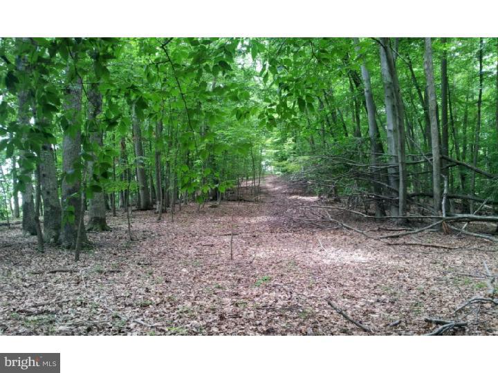 Lot 10 Fleecydale Road Carversville, PA 18913 - Photo 4 of 12 Gallery Image 4