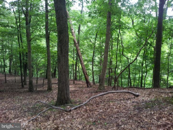 Lot 10 Fleecydale Road Carversville, PA 18913 - Photo 5 of 12 Gallery Image 5