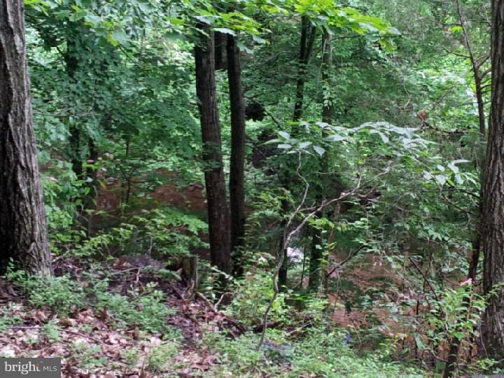 Lot 10 Fleecydale Road Carversville, PA 18913 - Photo 7 of 12 Gallery Image 7