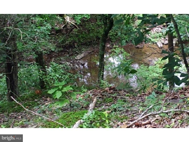 Lot 10 Fleecydale Road Carversville, PA 18913 - Photo 8 of 12 Gallery Image 8