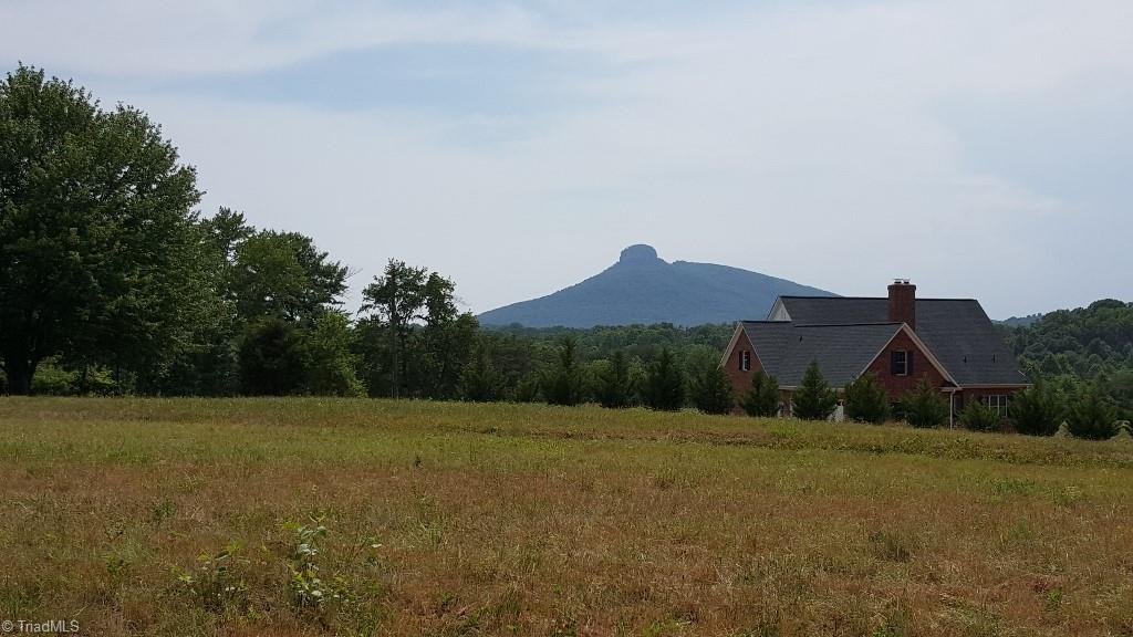 Xx Xx Volunteer Road Pinnacle, NC 27043 - Photo 2 of 6
