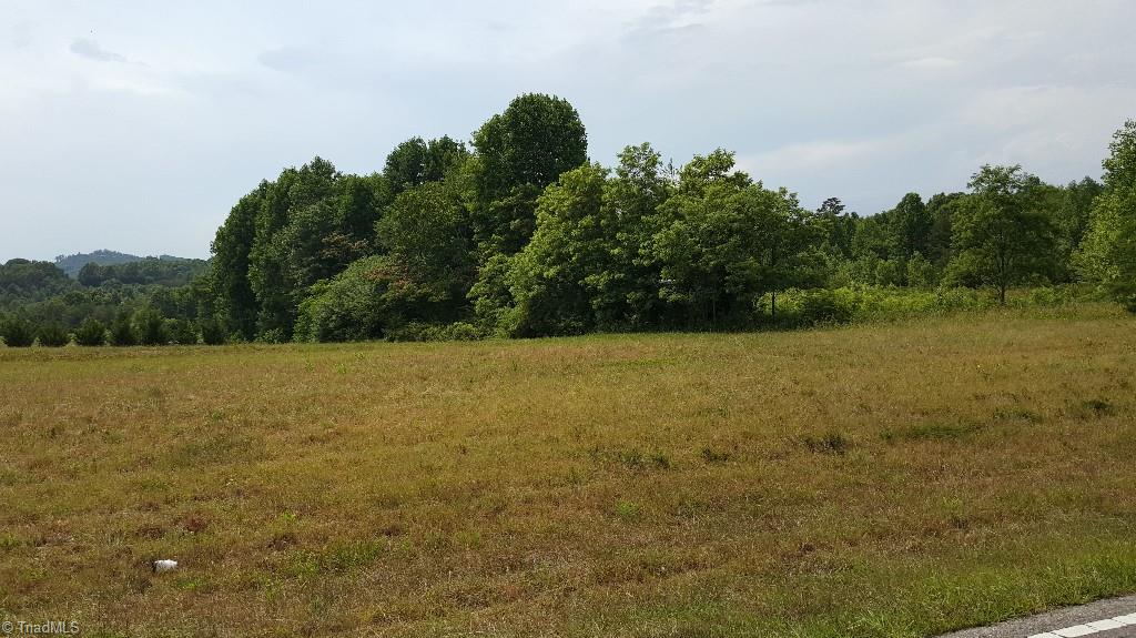 Xx Xx Volunteer Road Pinnacle, NC 27043 - Photo 3 of 6