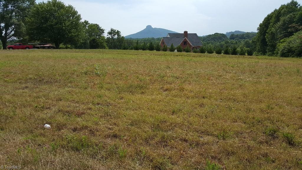 Xx Xx Volunteer Road Pinnacle, NC 27043 - Photo 4 of 6