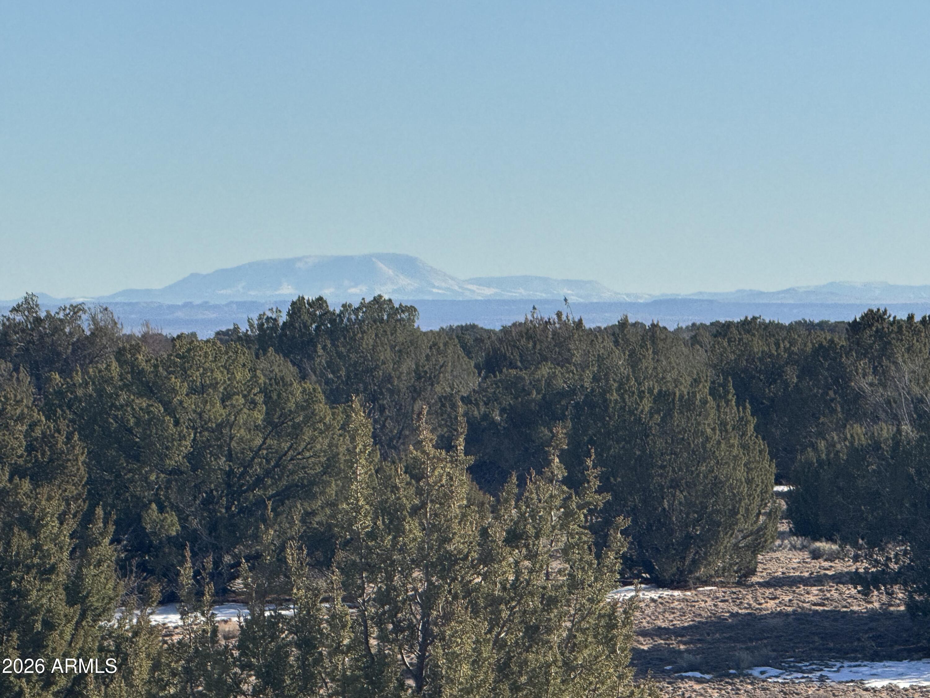 Lot 198 Red Sky Ranch, Unit 198 St. Johns, AZ 85936 - Photo 2 of 20 IMG_0376