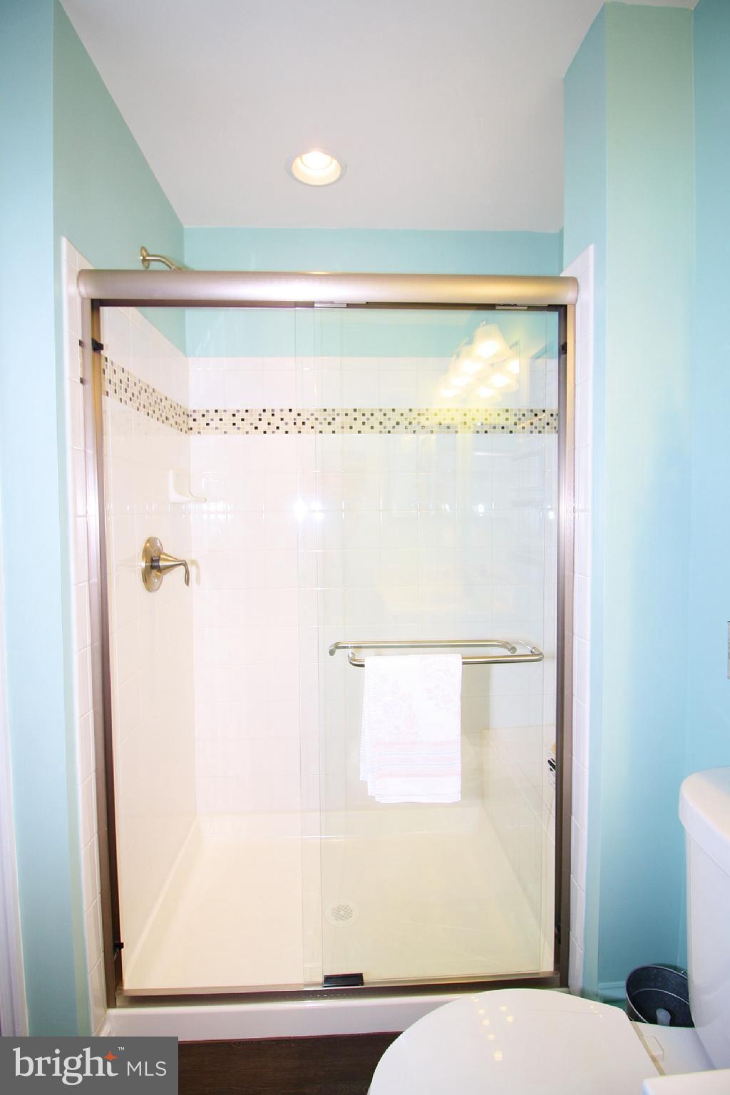 7419 North Point Road Baltimore, MD 21219 - Photo 33 of 46 Master Shower