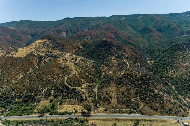 a view of a large yard with lots of green space