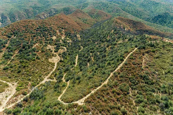 a view of a tree