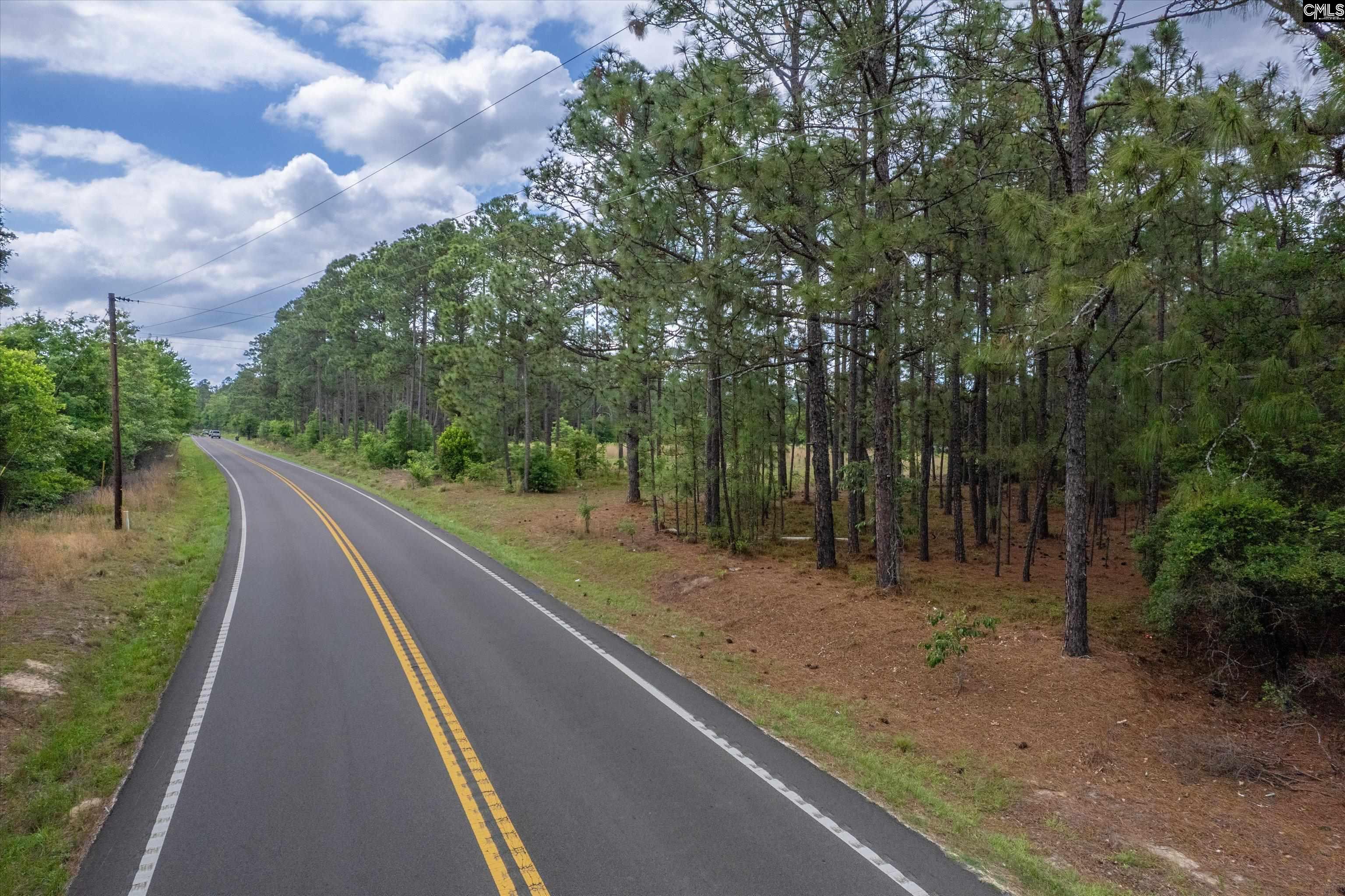 0 Pond Branch Road Gilbert, SC 29054 - Photo 10 of 12