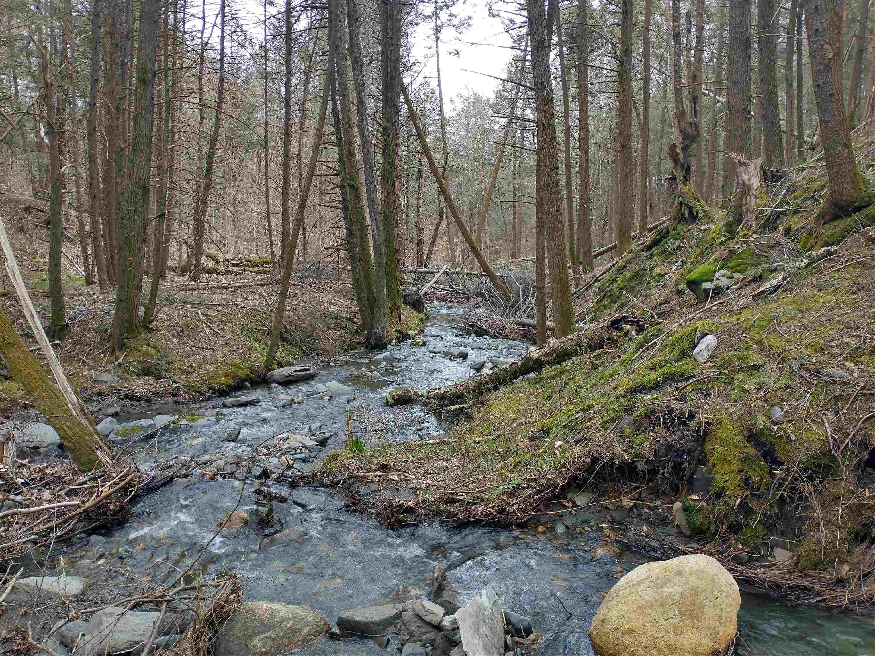 0 Allyn Road Putney, VT 05346 - Photo 11 of 11