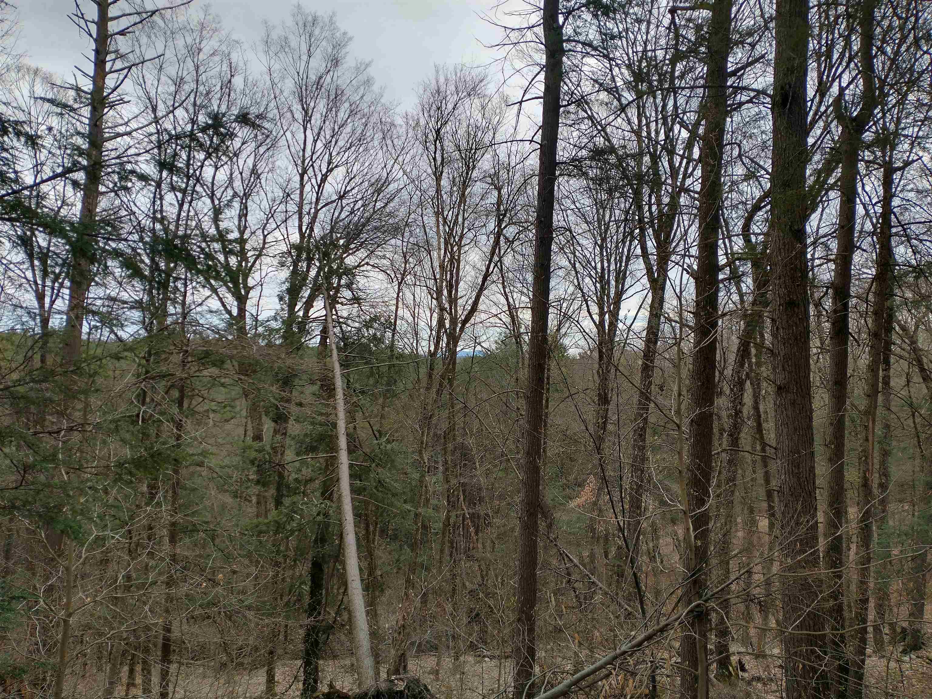 0 Allyn Road Putney, VT 05346 - Photo 2 of 11