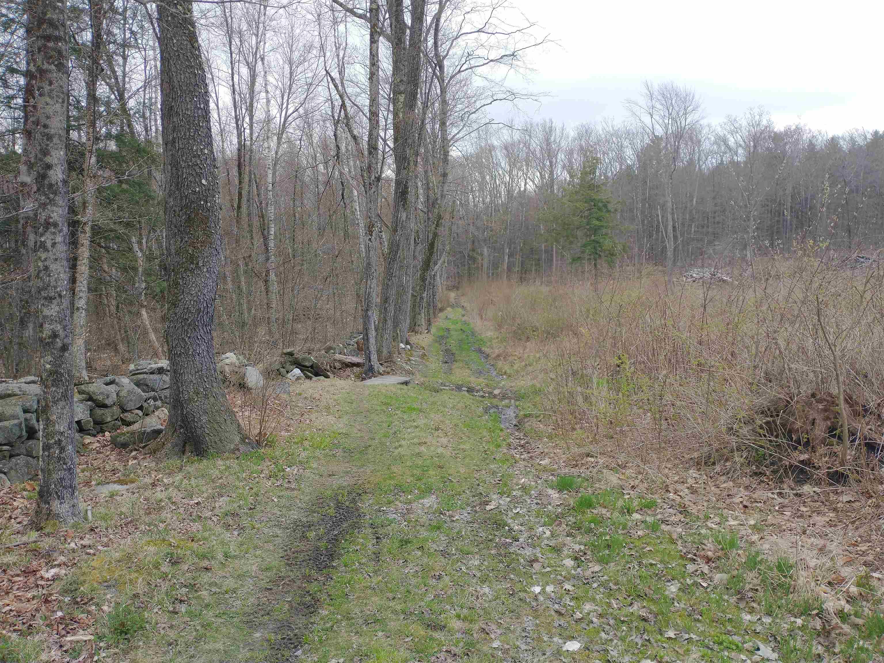 0 Allyn Road Putney, VT 05346 - Photo 4 of 11