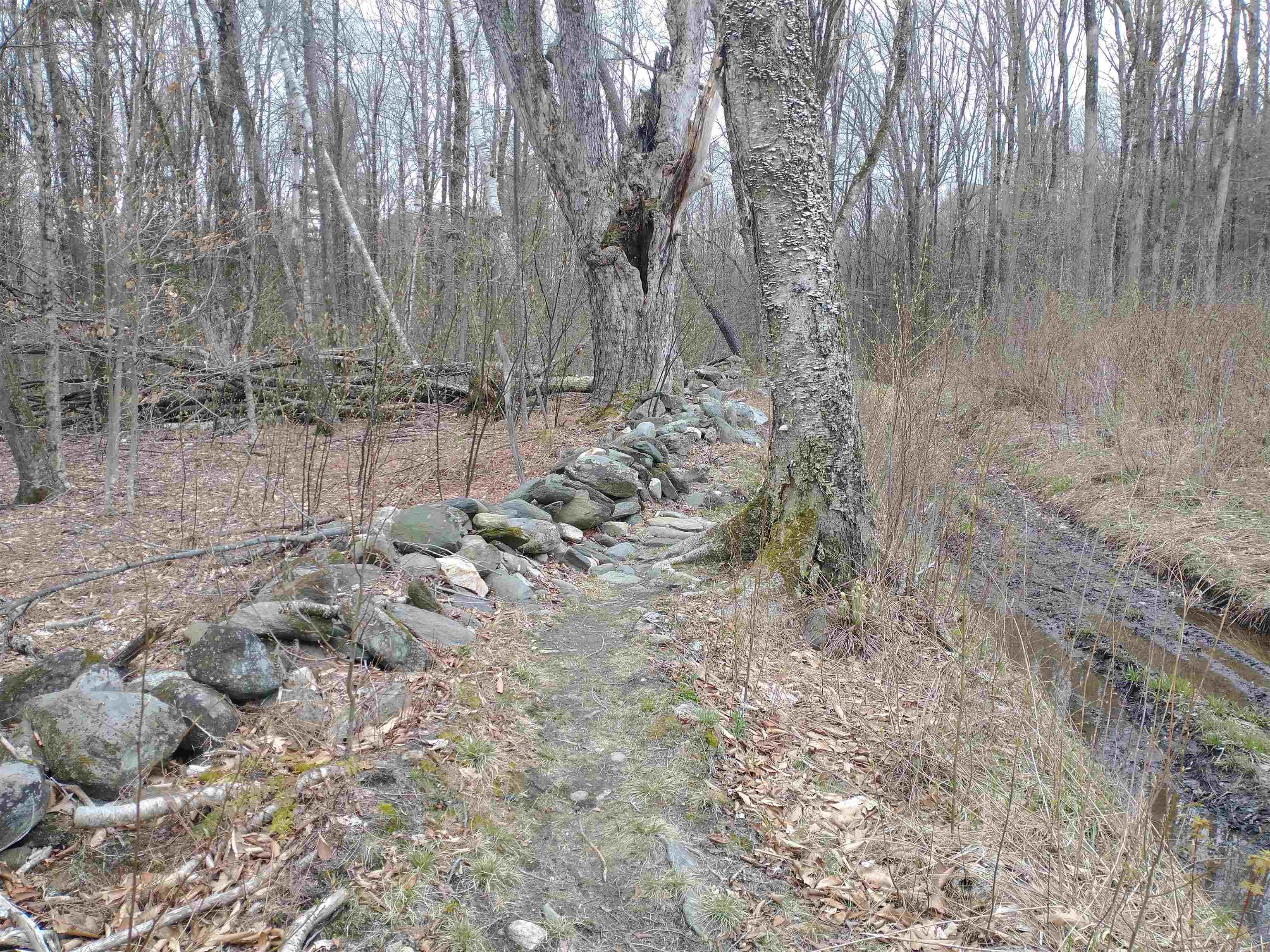 0 Allyn Road Putney, VT 05346 - Photo 6 of 11
