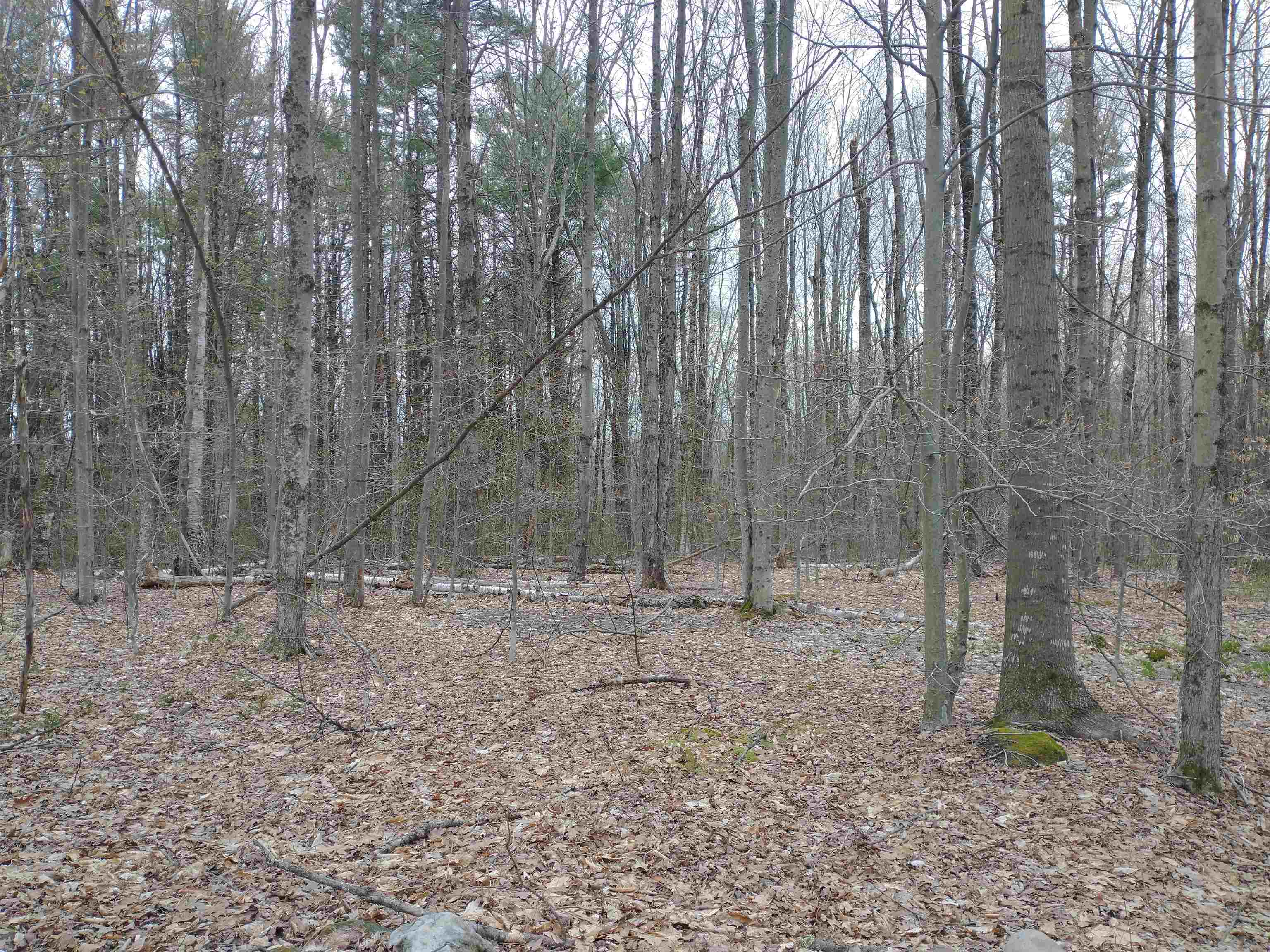 0 Allyn Road Putney, VT 05346 - Photo 8 of 11