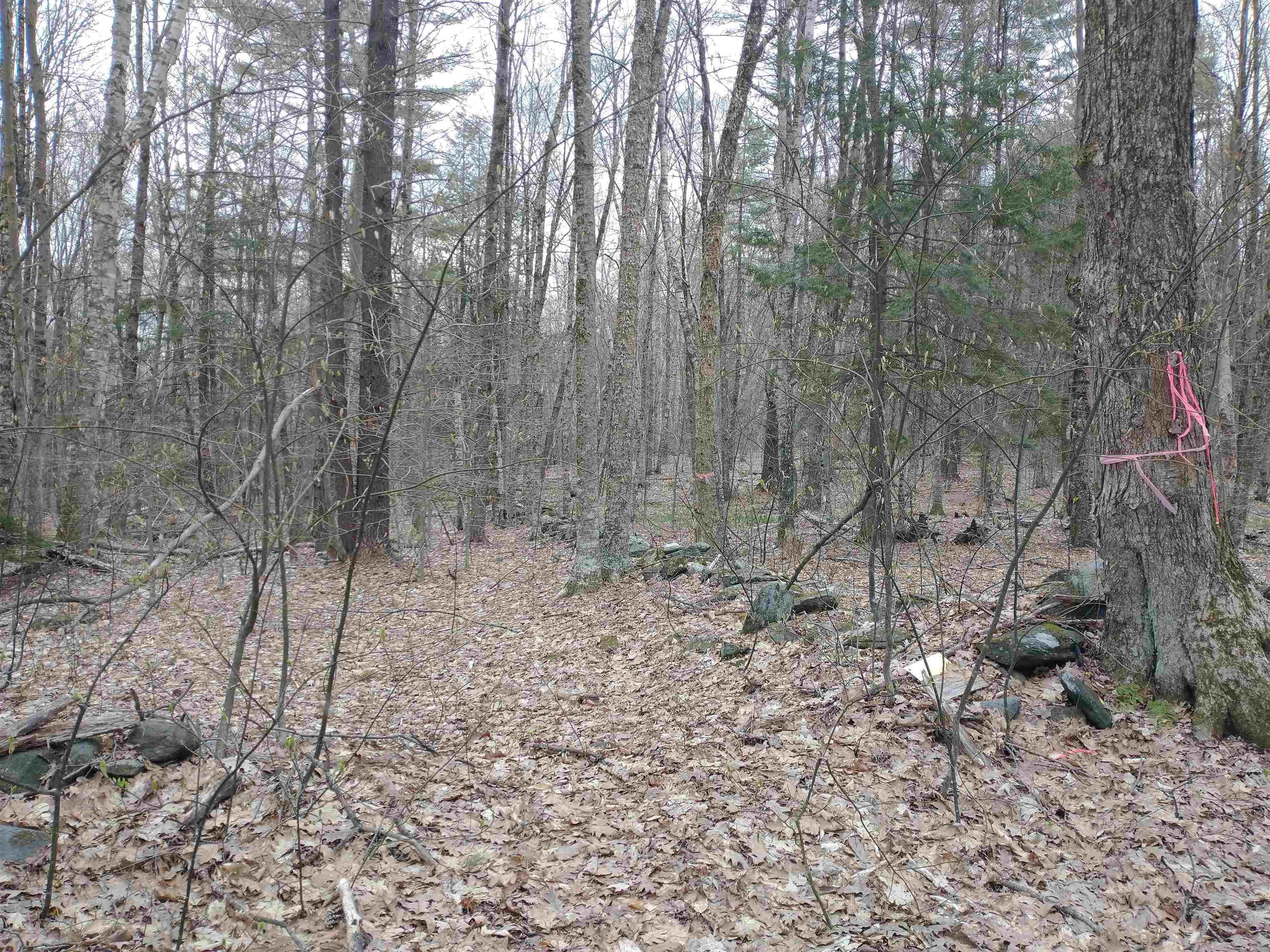 0 Allyn Road Putney, VT 05346 - Photo 9 of 11