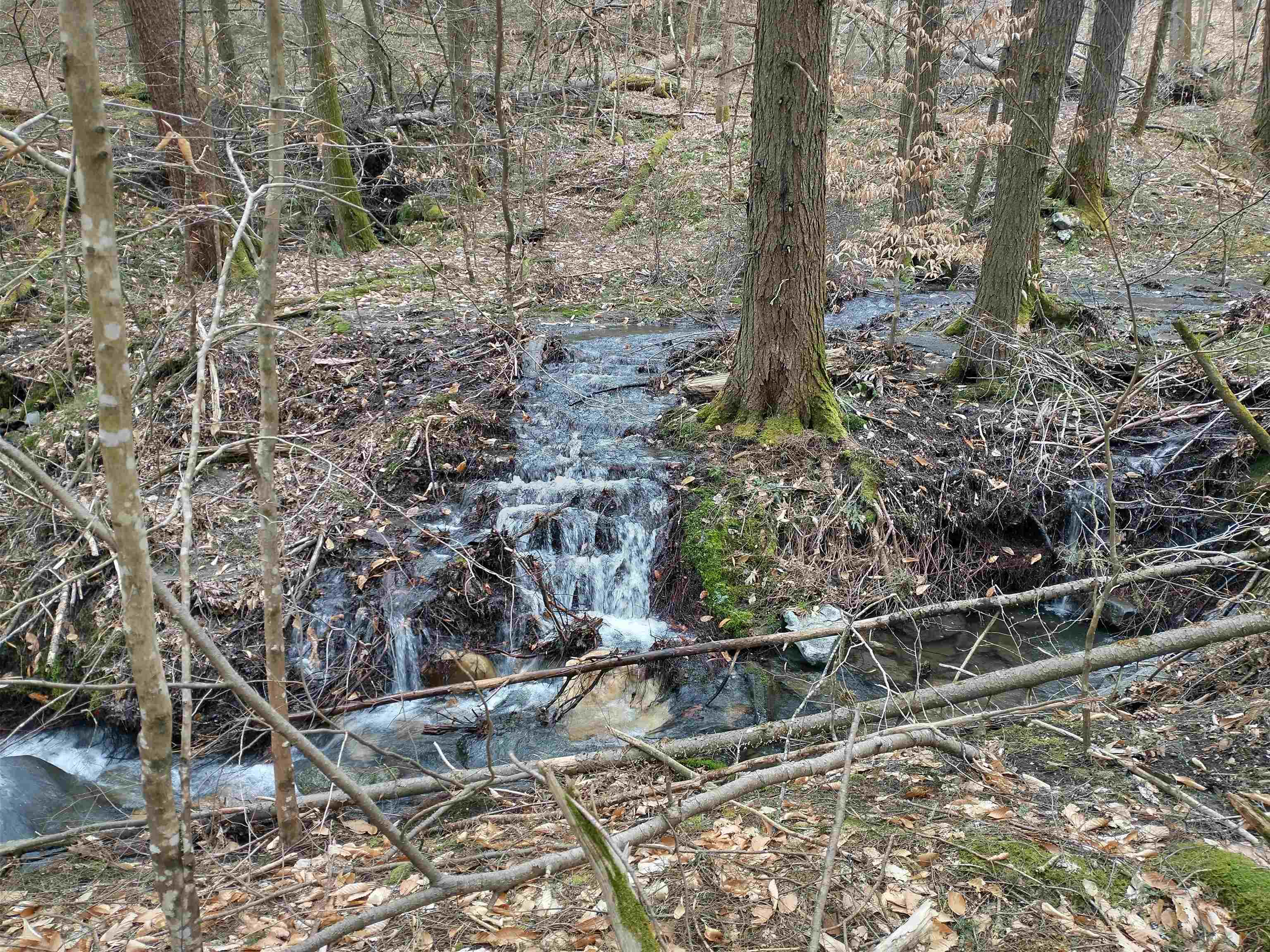 0 Allyn Road Putney, VT 05346 - Photo 10 of 11