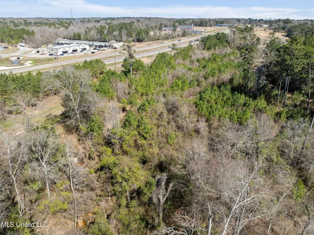 $1,150,000 | 5.5 Evelyn Gandy Parkway, Petal, MS 39465