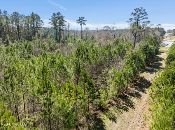 $1,150,000 | 5.5 Evelyn Gandy Parkway, Petal, MS 39465