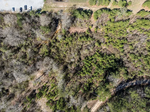 $1,150,000 | 5.5 Evelyn Gandy Parkway, Petal, MS 39465