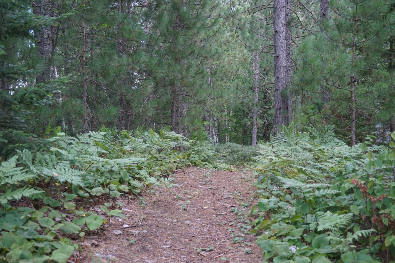 W8799 Forrester Road Tomahawk, WI 54487 - Photo 28 of 53 Gallery Image 28