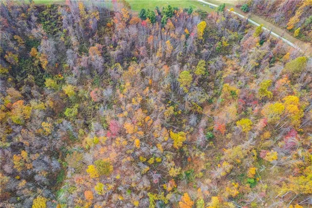 $96,960 | 2 Mayito Lane, Mouth Of Wilson, VA 24363