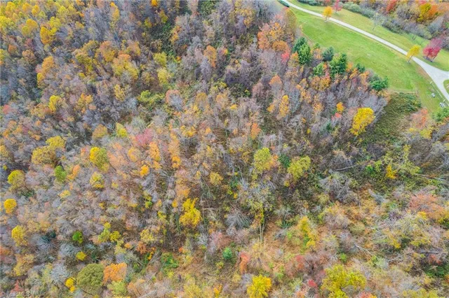 $96,960 | 2 Mayito Lane, Mouth Of Wilson, VA 24363