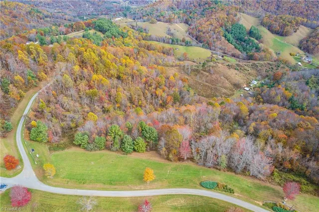 $96,960 | 2 Mayito Lane, Mouth Of Wilson, VA 24363