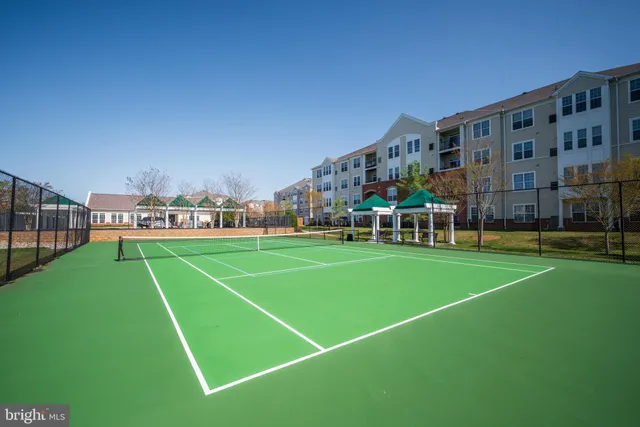 a view of a tennis ground with large trees
