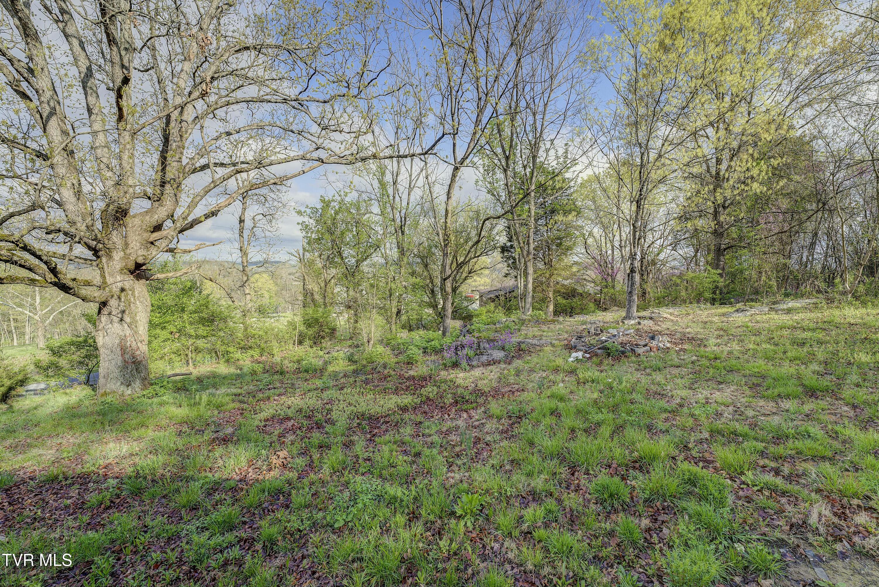 5744 Orebank Road Kingsport, TN 37664 - Photo 44 of 53 tempImagexe1zDs