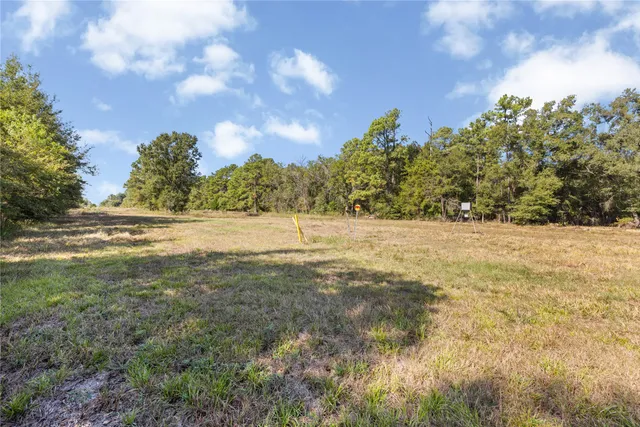 a view of a yard with a tree